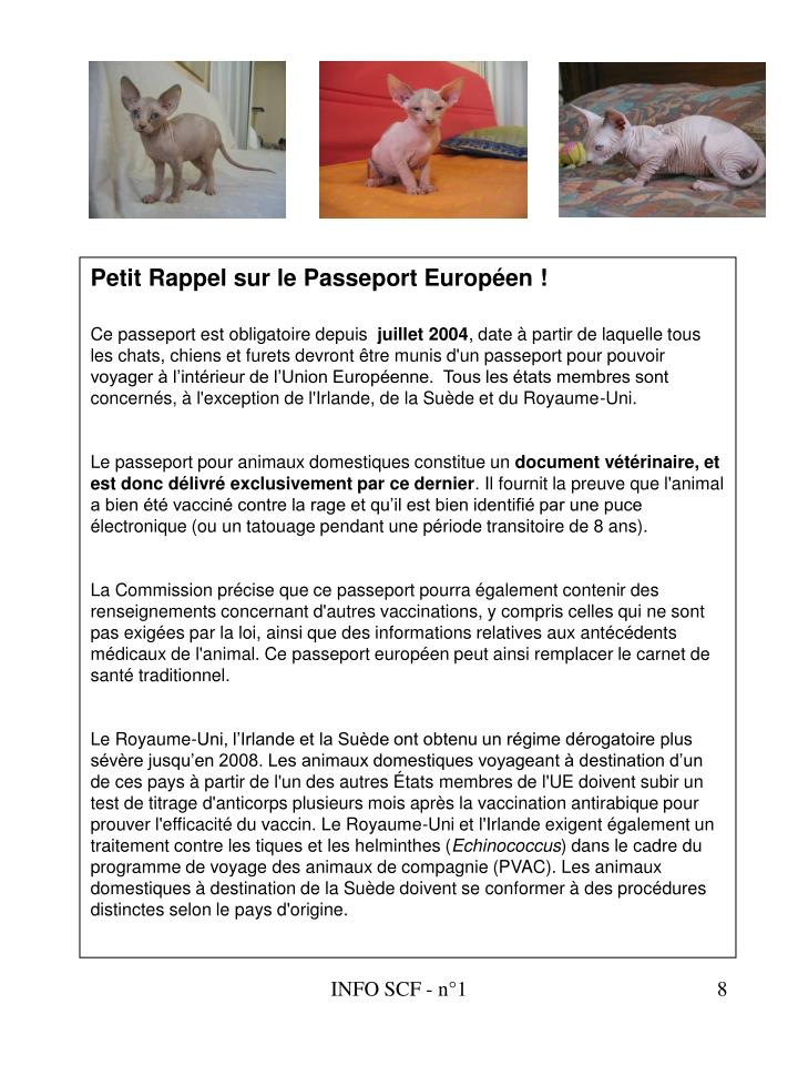 Que travaillent les poules des parasites
