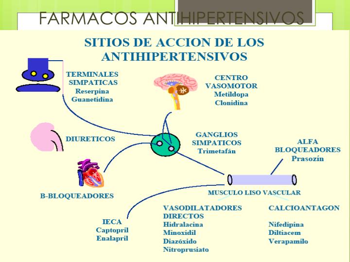 Las vitaminas que apoyan la potencia