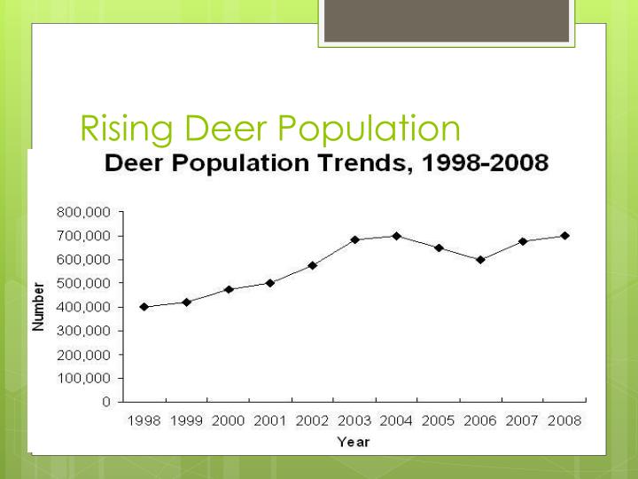 ppt-deer-hunting-powerpoint-presentation-id-3701453