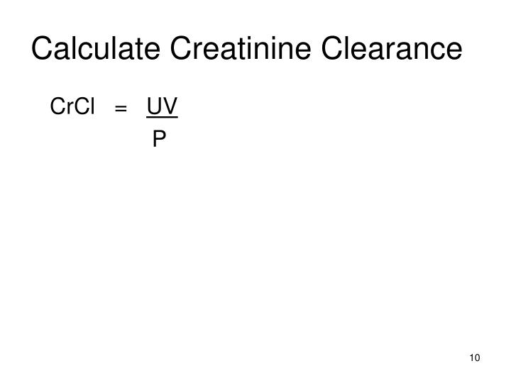 24 Hour Creatinine Clearance Equation Talkchannels Calculate Creatinine Clearance Ppt Renal Physiology And Function Part Ii Tests 24 Hour