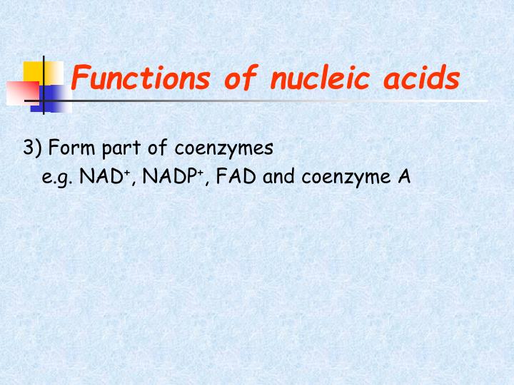 PPT Lecture 2 Properties and functions of nucleic acids PowerPoint