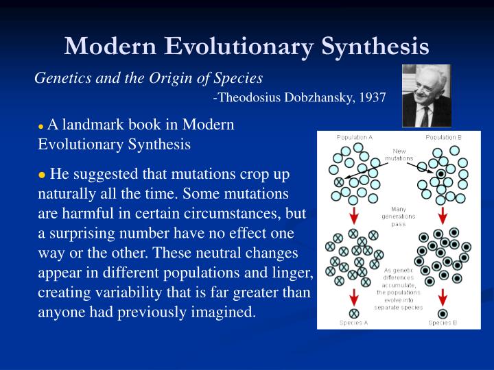 PPT - The Mutation Theory And The Species-Concept PowerPoint ...