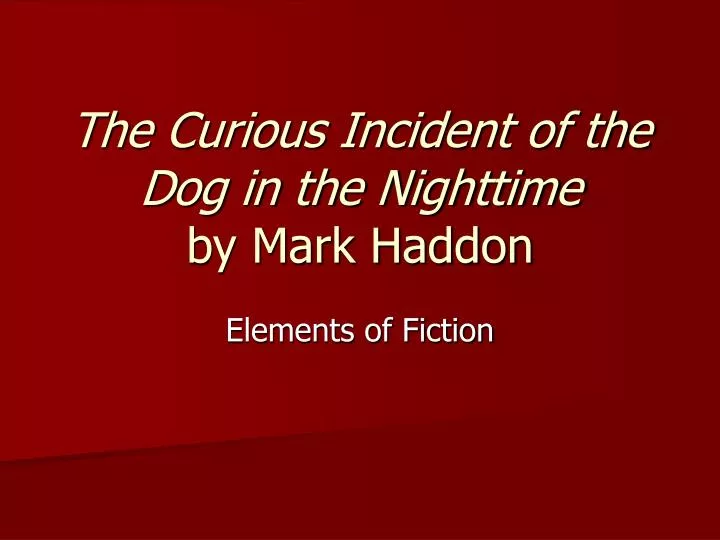 the curious incident of the dog in the nighttime essay