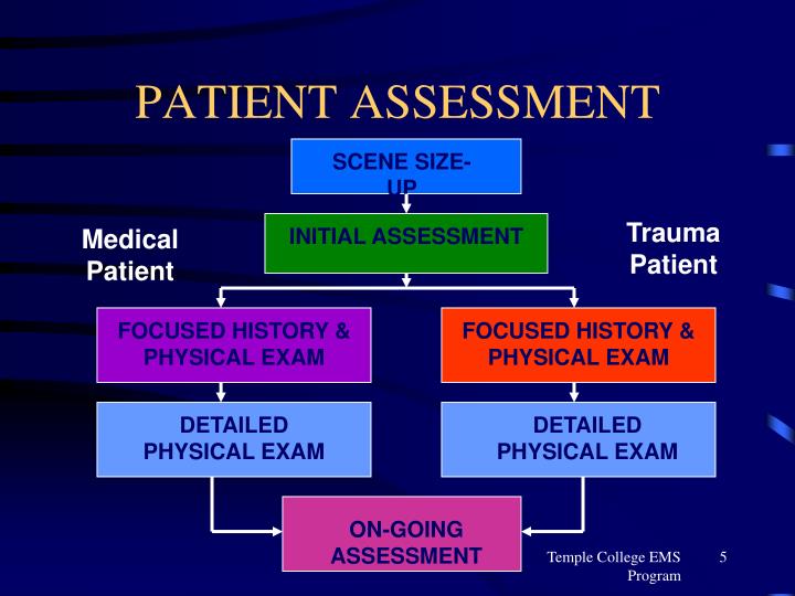 PPT PATIENT ASSESSMENT PowerPoint Presentation ID 3774388 ppt-patient-assessment-powerpoint-presentation-id-3774388