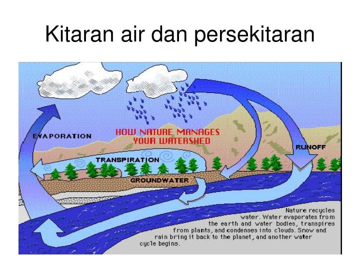 PPT - SISTEM DAN PENDEKATAN SISTEM PowerPoint Presentation 