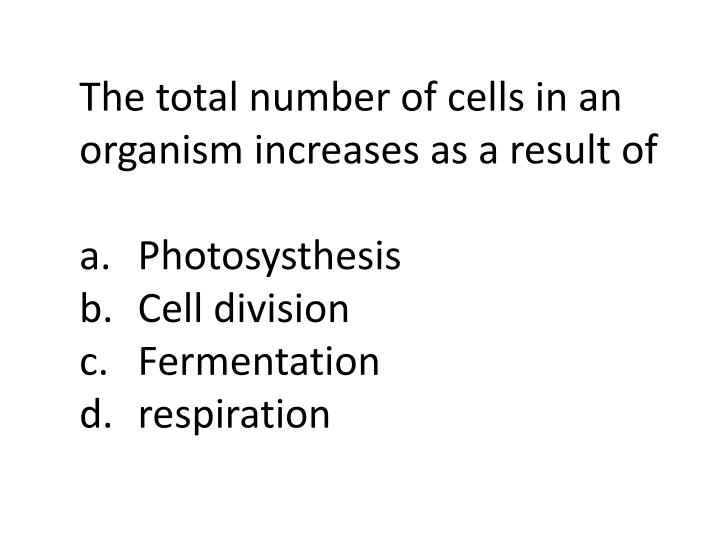 photosysthesis respiration photosysthesis respiration