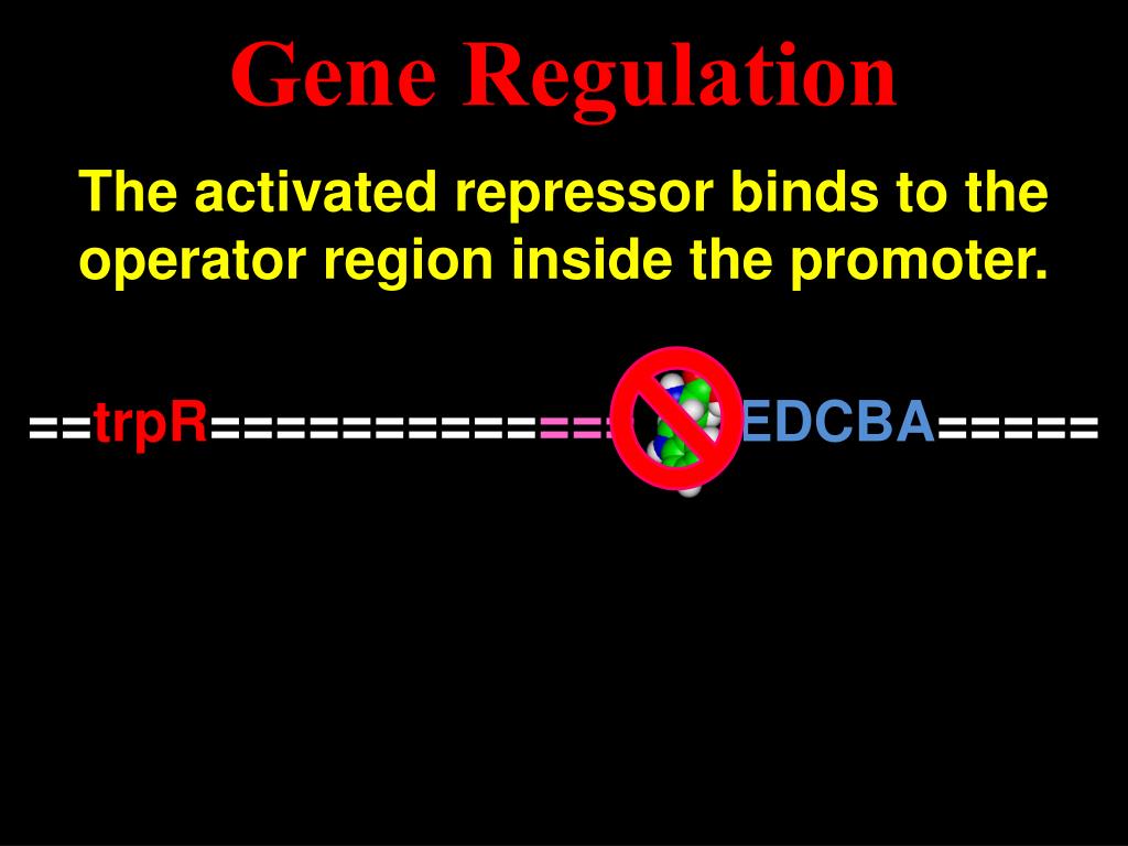 Ppt Chapter Genetics Of Viruses And Bacteria Powerpoint