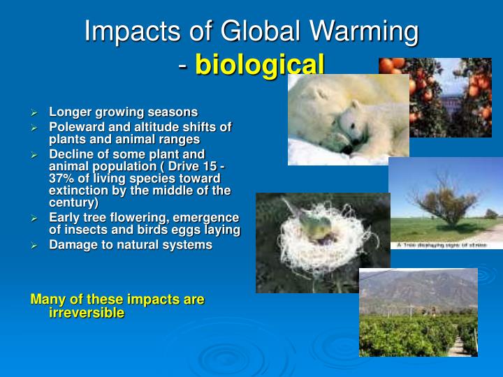 case studies related to global warming He conducted case studies showing that when dust was blown into these regions atmospheric carbon dioxide changes and global warming global biogeochemical. case studies related to global warming He conducted case studies showing that when dust was blown into these regions atmospheric carbon dioxide changes and global warming global biogeochemical.