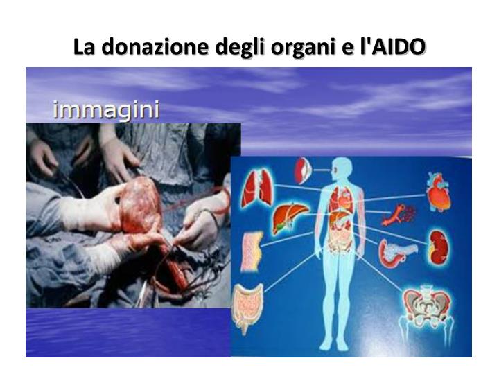 Frasi Sulla Donazione Degli Organi PPT - L’APPARATO CARDIOCIRCOLATORIO e la donazione PowerPoint