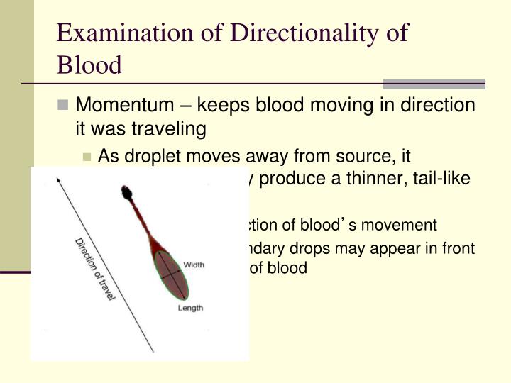 PPT - Blood splatter analysis PowerPoint Presentation - ID:3945891