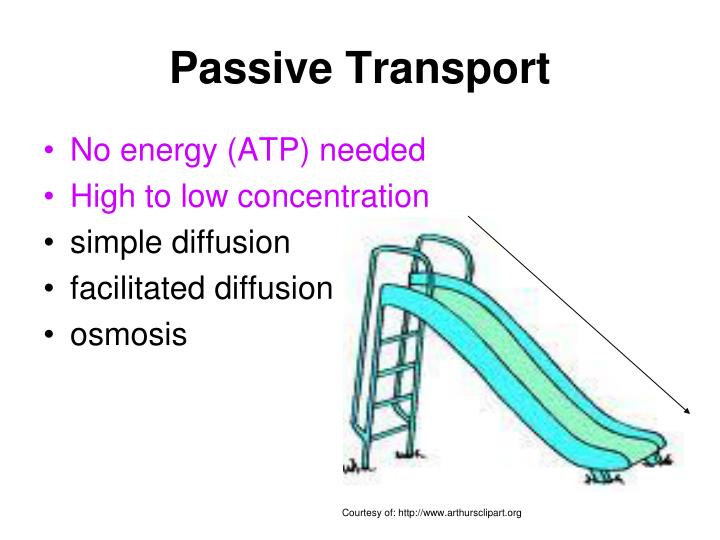 PPT - CELL TRANSPORT PowerPoint Presentation - ID:3996195
Example Of Passive Transport