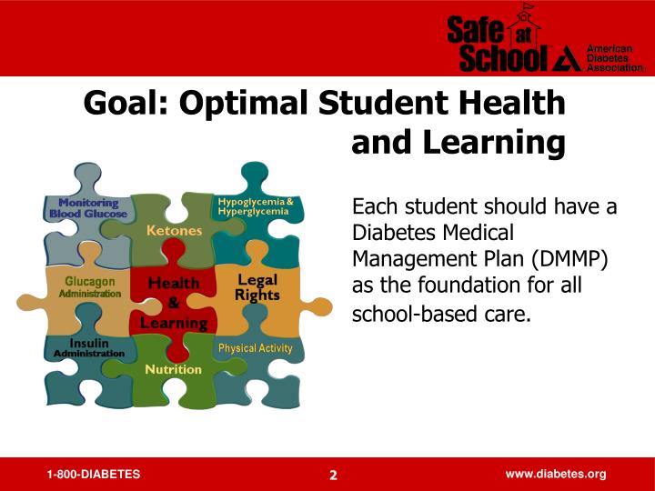 diabetes management plan diabetes management plan