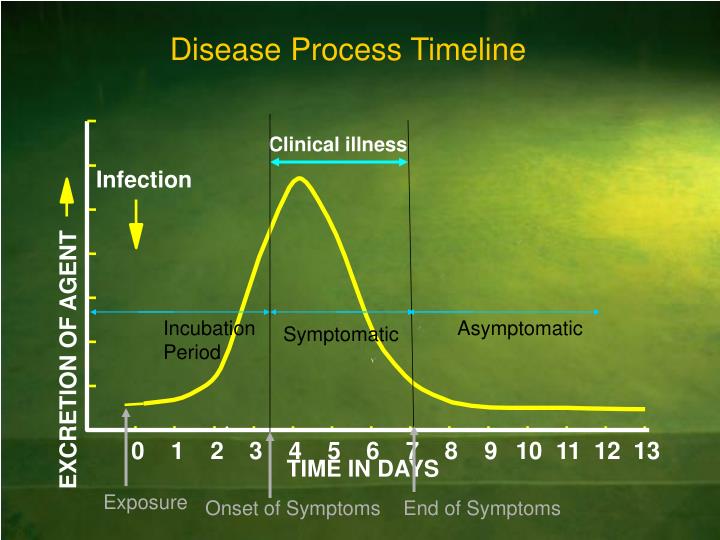 PPT CONTROL OF NOROVIRUS PowerPoint Presentation ID4074996