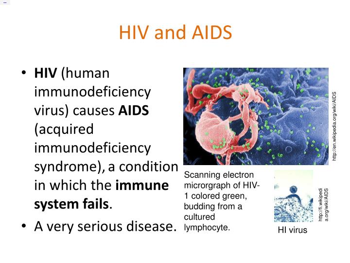 Hiv and vaginal fluid and masturbation Japan tokyo strip clubs