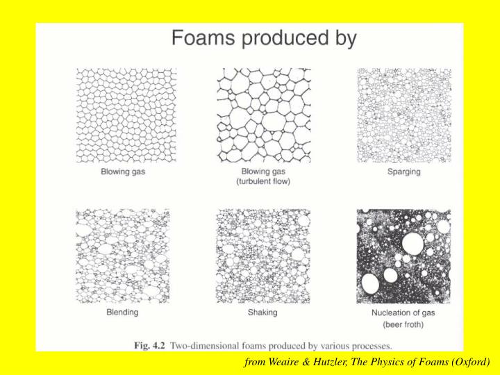 PPT The Physics of Foams PowerPoint Presentation ID4115748