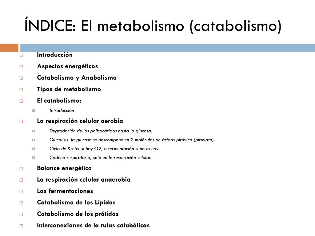 Ppt Tema 8 El Metabolismo Catabolismo Powerpoint Presentation 40992 Hot Sex Picture 4982