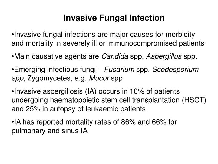 PPT - Medical Mycology PowerPoint Presentation - ID:4130056