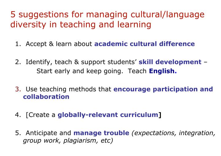 Disability services cultural and linguistic diversity strategy