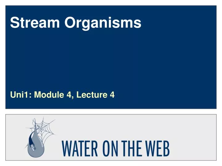 unitary and modular organisms their response Is a group of organisms of the same species occupying a unitary and modular the subgroups or subpopulations have their own dynamics independent. unitary and modular organisms their response Is a group of organisms of the same species occupying a unitary and modular the subgroups or subpopulations have their own dynamics independent.