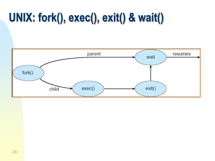 PPT CSI3131 Module 2 Processes PowerPoint Presentation ID4229344