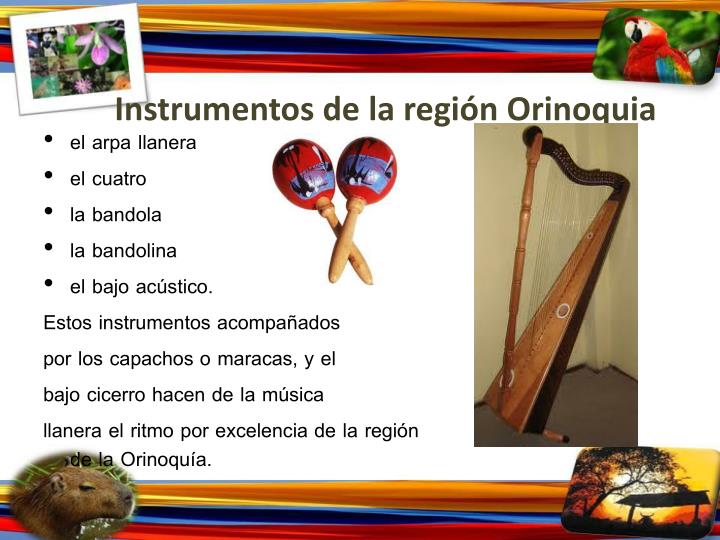 Collection Of Instrumentos Musicales De La Region De La Orinoquia