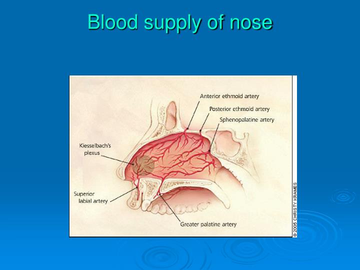 Watch Acute Sinusitis video Watch Acute Sinusitis video