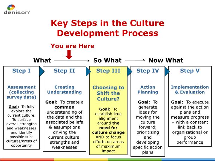change and culture case study ii Improving safety culture through the health and safety organization: a case study according to the study's culture change strategy, creating more and better . change and culture case study ii Improving safety culture through the health and safety organization: a case study according to the study's culture change strategy, creating more and better .