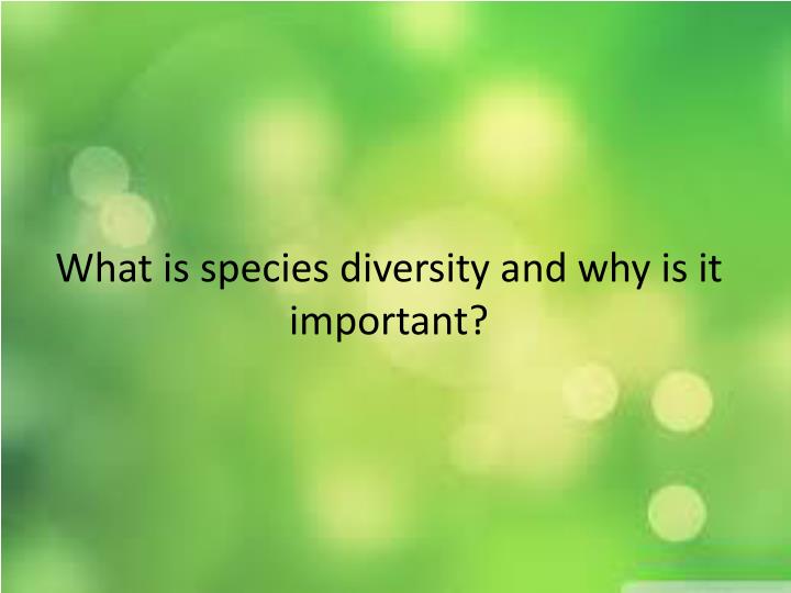 what is species diversity definition importance 7972027 seafoodnet species diversity definition