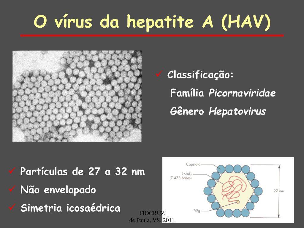PPT Hepatite A Diagnóstico Epidemiologia e Prevenção PowerPoint Presentation ID