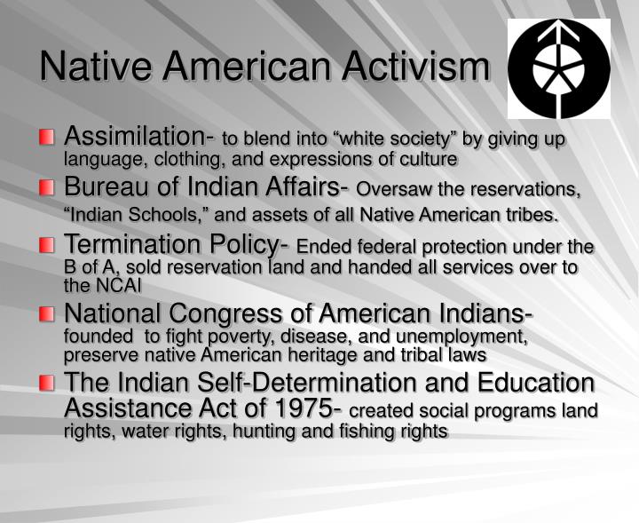 American Culture Essay