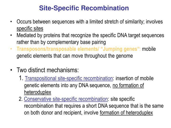 PPT - MB 207 – Molecular Cell Biology PowerPoint Presentation - ID:4432014