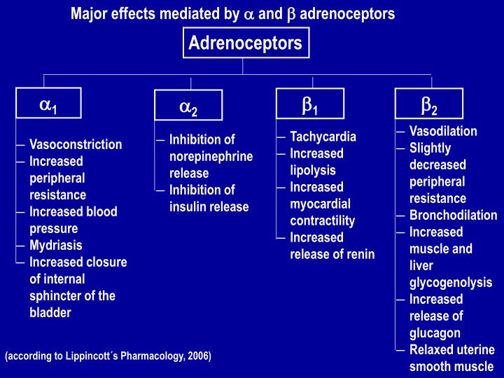 PPT - Adrenergic Agonists And Antagonists PowerPoint Presentation - ID ...