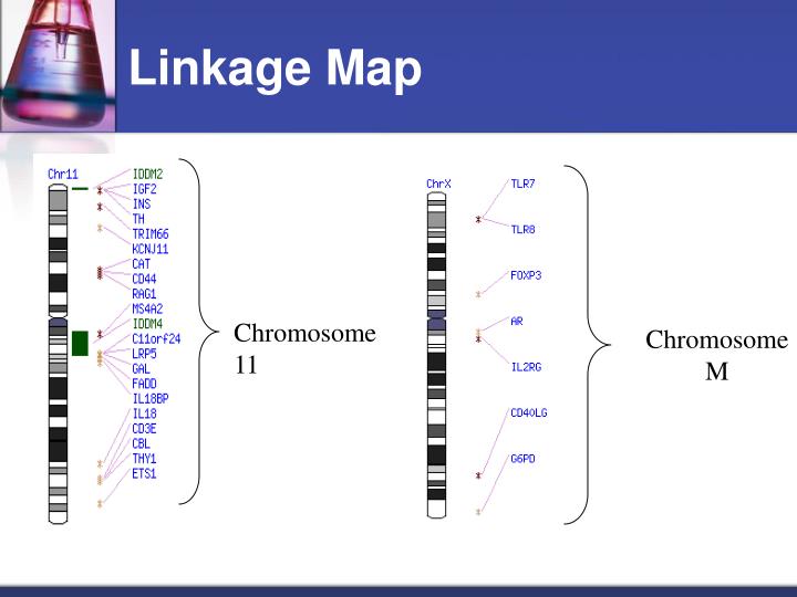 PPT Genetic Technology PowerPoint Presentation ID 4453913 ppt-genetic-technology-powerpoint-presentation-id-4453913