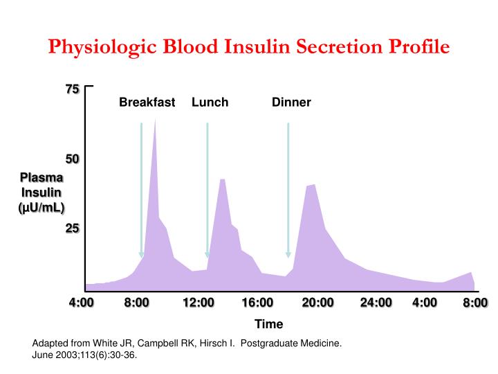 physiologic effects of insulin Aims: to assess the effects of a weight maintenance period comprising two diets differing in protein intake, after weight loss, on intrahepatic lipid content and implications for insulin sensitivity. physiologic effects of insulin Aims: to assess the effects of a weight maintenance period comprising two diets differing in protein intake, after weight loss, on intrahepatic lipid content and implications for insulin sensitivity.