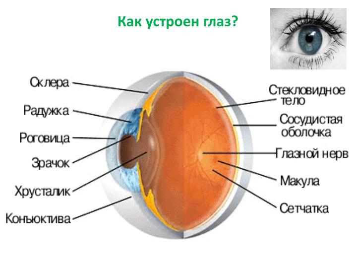 download cytokine induced