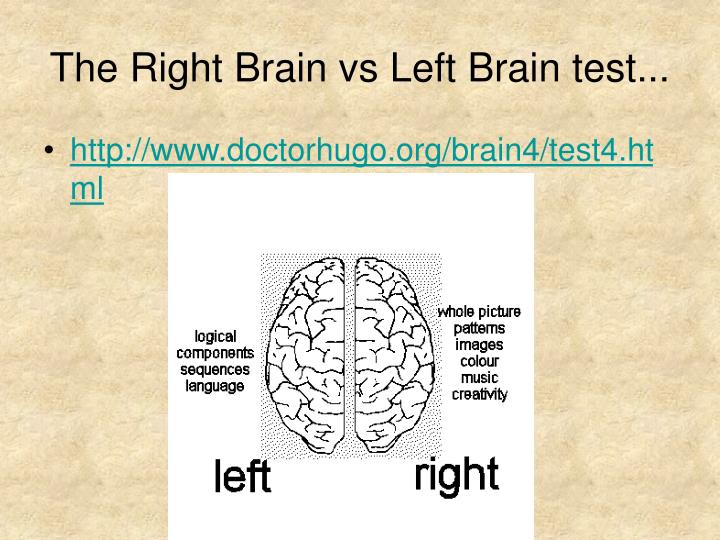 left brain vs right brain test
