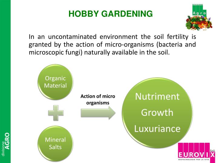 Essay On Microorganisms