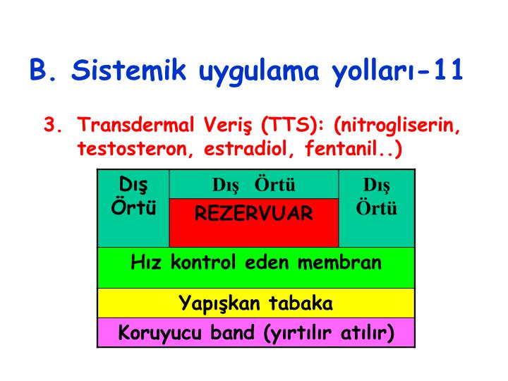 SEARCH AND BUY THIS PRODUCT PPT - İLAÇLARIN UYGULAMA YERLERİ ve YOLLARI PowerPoint