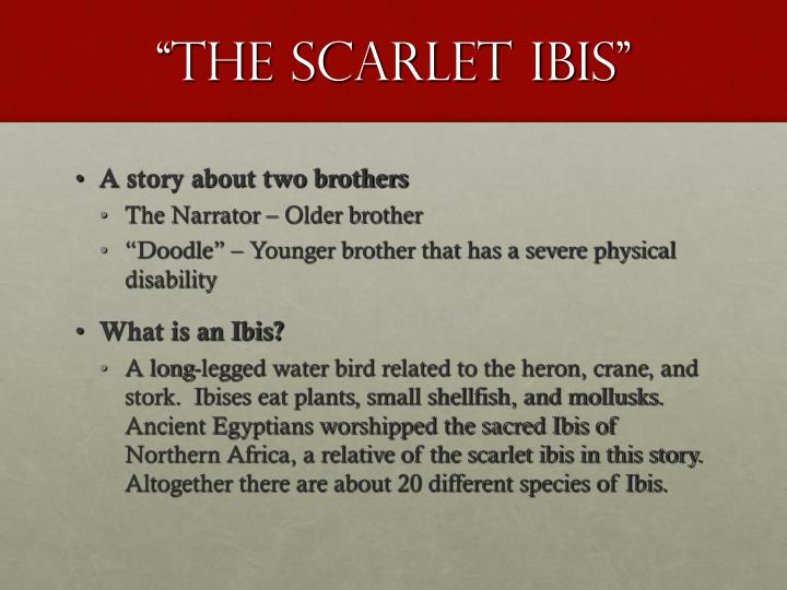The Narrator Struggle In The Scarlet Ibis By James Hurst