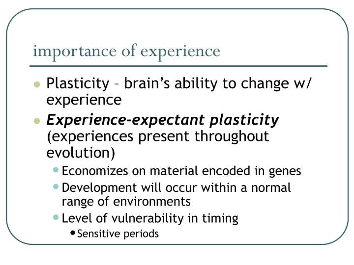 experience dependent plasticity experience dependent plasticity