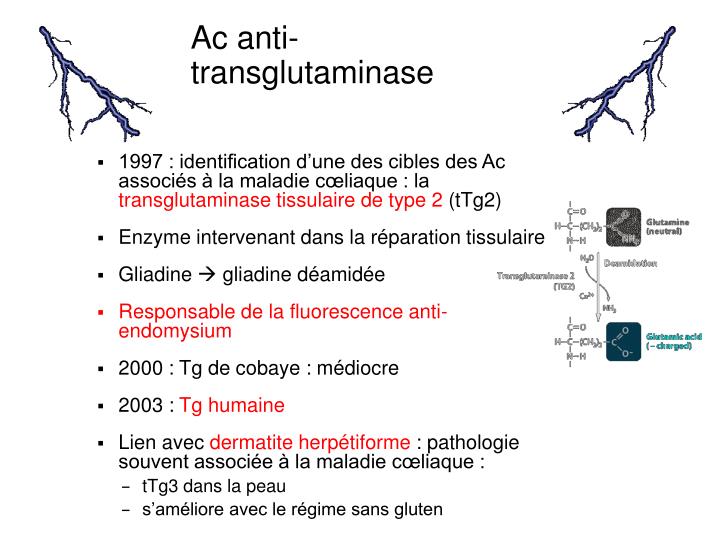 PPT La maladie cœliaque PowerPoint Presentation ID4616227
