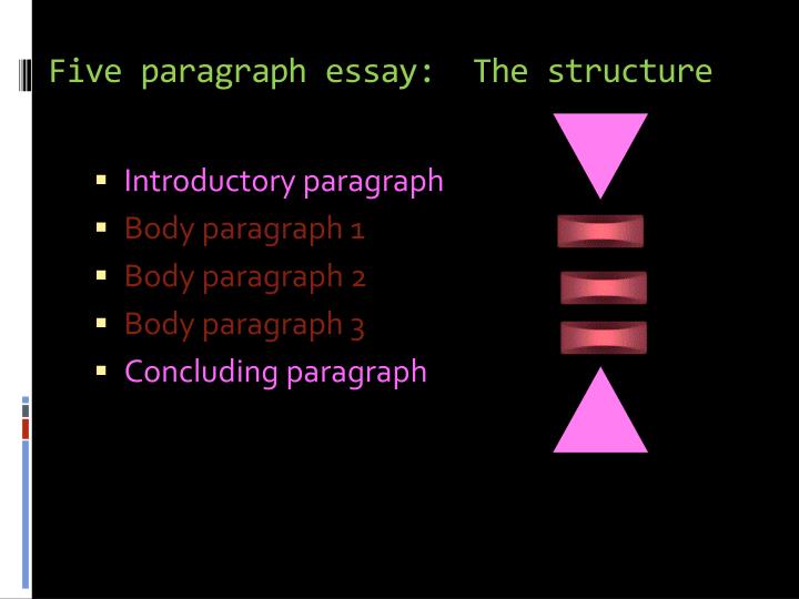 Essay questions on gladiators