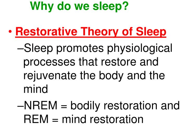 discuss the restoration theory of sleep Evidence in support of restoration theory as evidence for the restoration theory of sleep stress is a good secondary factor to discuss because of. discuss the restoration theory of sleep Evidence in support of restoration theory as evidence for the restoration theory of sleep stress is a good secondary factor to discuss because of.