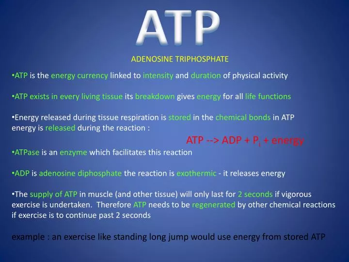 adenosine triphosphate atp essay adenosine triphosphate atp essay
