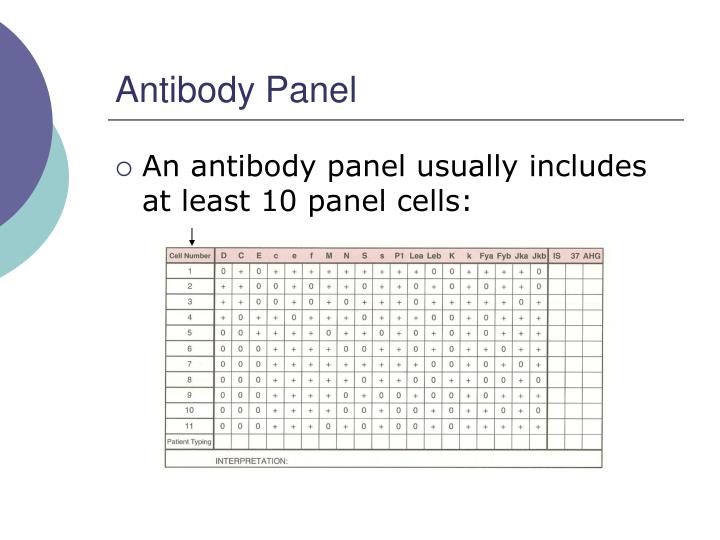 PPT Antibody Screening and Identification PowerPoint Presentation