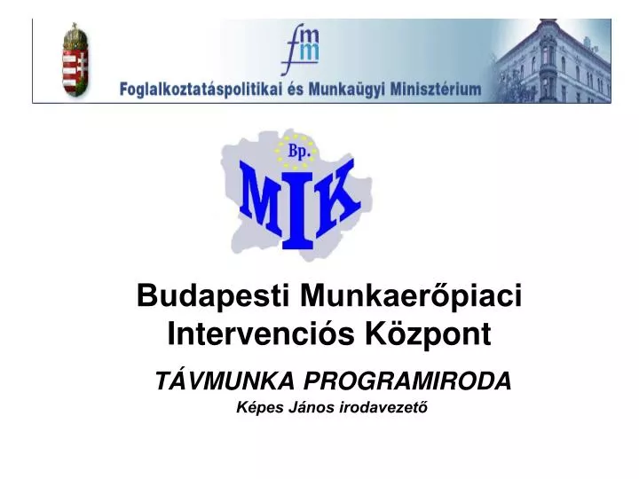 Ppt Budapesti Munkaer Piaci Intervenci S K Zpont Powerpoint