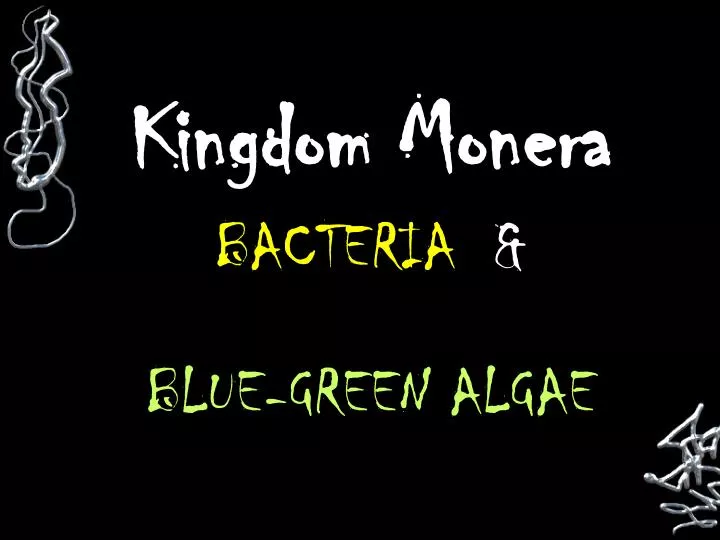 kingdom monera general characteristics Protista classification 1 general characteristics and structures - these organisms once were placed in a single kingdom but with new genetic. kingdom monera general characteristics Protista classification 1 general characteristics and structures - these organisms once were placed in a single kingdom but with new genetic.