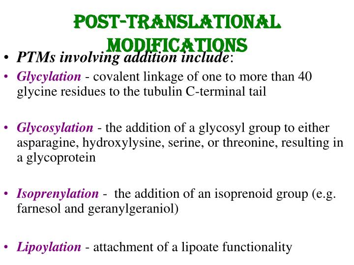 Protein Translational Modification Ppt Current Trends In The Www 