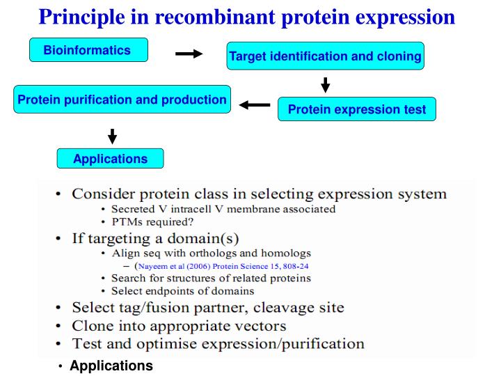 PPT Protein engineering and protein expression PowerPoint