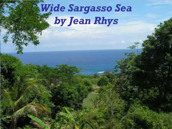 jean rhys s wide sargasso sea the Identity crisis in jean rhys’ wide sargasso sea revisited 111 though she started with the intention of giving identity to the mad woman in the attic in charlotte bronte’s. jean rhys s wide sargasso sea the Identity crisis in jean rhys’ wide sargasso sea revisited 111 though she started with the intention of giving identity to the mad woman in the attic in charlotte bronte’s.